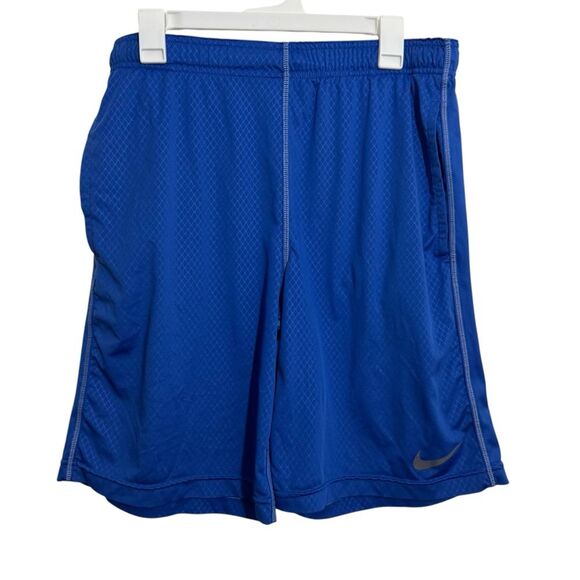 Nike Dri-Fit Blue Activewear Shorts - Picture 1 of 4